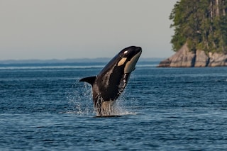 thomas-lipke-p5nDU-d3Y0s-unsplash