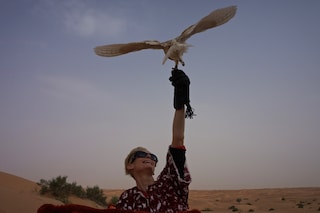 Tilda Swinton in Dubai by Amanda Harlech (2)