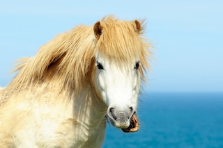 GettyImages-171335800