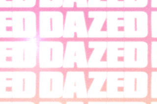 Animal Crossing protest