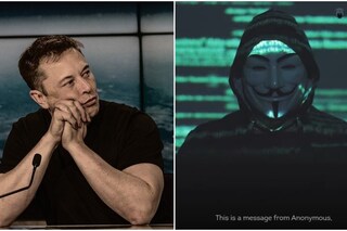 Elon Musk, Anonymous