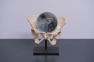 Raised By Wolves, 2013