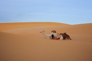 sahel1-1200