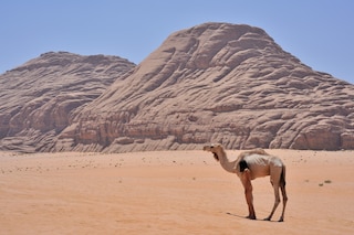 wadirum1-1200