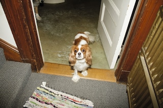 Plantikow_Kim_Gordon_Details-069_web