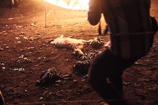 Sacrificed animals