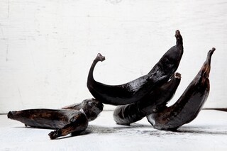 Dalston Anatomy