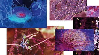 Inside Biophilia