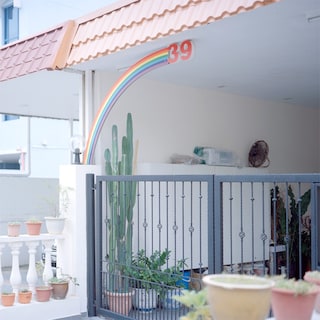 Singapore Brothels, Nguan, Dazed