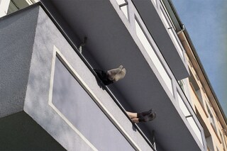 Fumi Nagasaka’s Living Is Easy With Eyes Closed, 2013