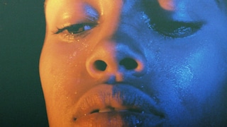 Petra Collins 24 Hour Psycho