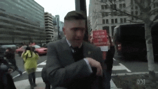 richard spencer punch