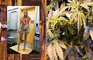 SYSTEM9_MarleyNaturalSupplement-5