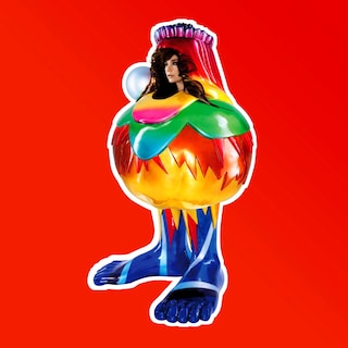 Bjork Volta Album Art