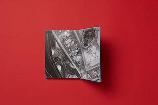 Hortus Sanitatis gucci book derek ridgers dsm 