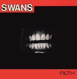 Swans