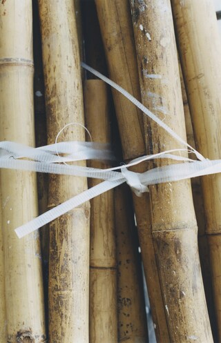 Boys of Hong Kong –&#160;Alexandra Leese 