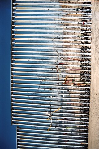 Rafael Martinez: Aqu&#237; Tambi&#233;n Hay Sue&#241;os