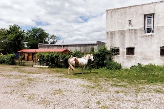 Jordan Baumgarten’s Good Sick