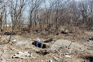 Jordan Baumgarten’s Good Sick