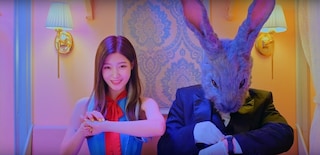 DIA - Mr Potter MV
