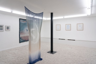 Charlotte Edey’s Echolocation 1