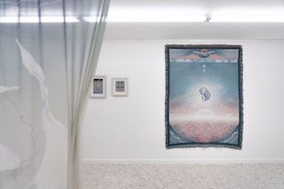 Charlotte Edey’s Echolocation 2