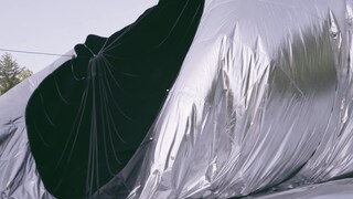 Mac DeMarco New Horizon 2