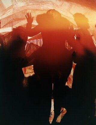 Björk – winter 2019 3