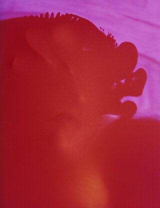 Björk – winter 2019 4