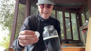 David Lynch daily number