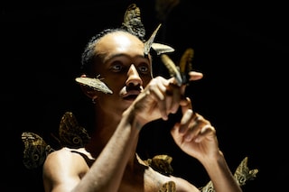 Miles Greenberg, LEPIDOPTEROPHOBIA (2020)