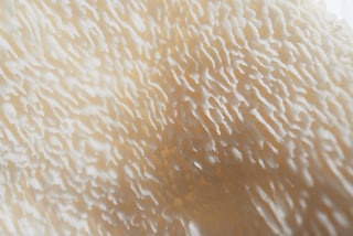 adidas’s Stan Smith Mylo 7