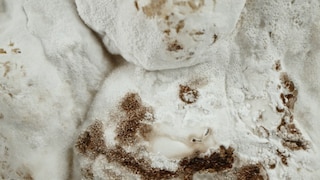 adidas’s Stan Smith Mylo 6