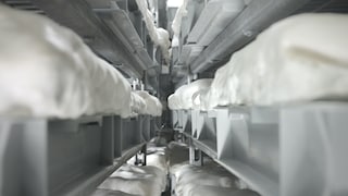 adidas’s Stan Smith Mylo 8