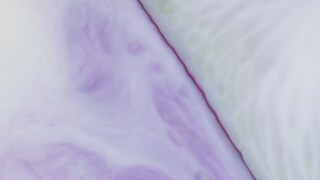 Graphic design and the end of the world