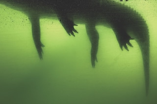 Deutsche B&#246;rse Photography Foundation Prize 2022