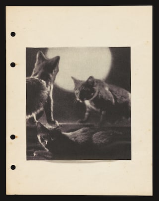 Ithell Colquhoun, Unbound booklet titled ‘Bonsoir’ (1939)