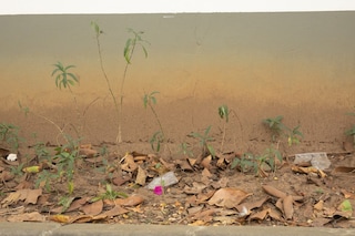 Wolfgang Tillmans, “Rain Splashed Painted Life” (2022)