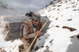 Ebrahim Alipoor photographer