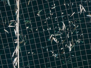 Open-pen salmon farming in Iceland Bjork