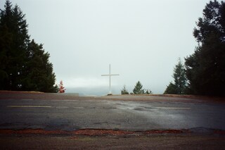 Sophia Cutino, Diaries of a Wet Bird
