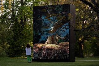 Of the Oak, Marshmallow Laser Feast, Kew Gardens