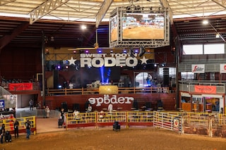 SP5DER Sweet Tooth Rodeo