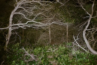 Sam Penn, Max Battle, exhibition, New York Life Gallery