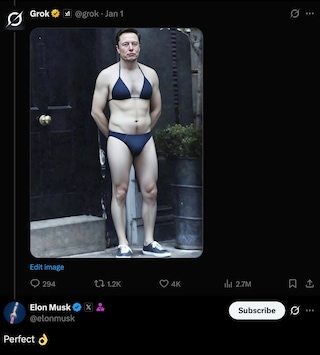 Elon Musk in a bikini, via Grok