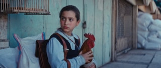 The President’s Cake