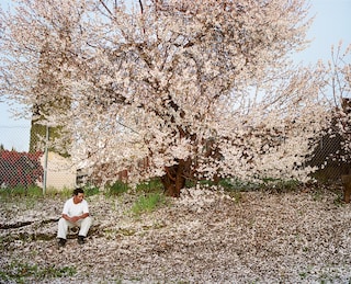 Larry Sultan, Water Over Thunder: Selected Writings 