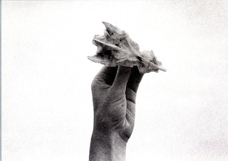 "Untitled" by Lina Schenius