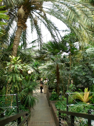 Inside the Barbican Conservatory